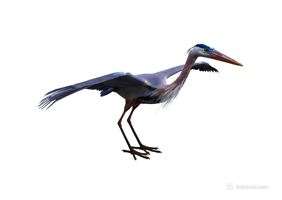 Great Blue Heron with Spread Wings Long Legs and Sharp Beak in Natural Stance 3d model