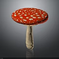 Red and White Spotted Mushroom with Red Cap White Spots and Reflection on Dark Surface