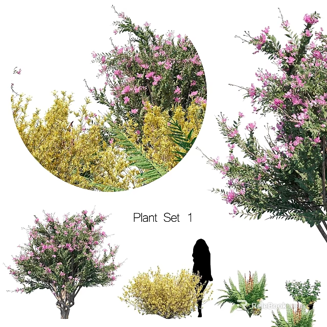 Beautiful Garden Ornamental Plant Set 1 With Pink Flowers Yellow Foliage And Green Leaves 3d model 