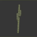 Tall Green Cactus Plant With Thorny Stems On Gray Background