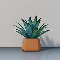 Green Leafy Potted Bonsai Plant With Orange Hexagonal Pot On Gray Surface And Light Wall