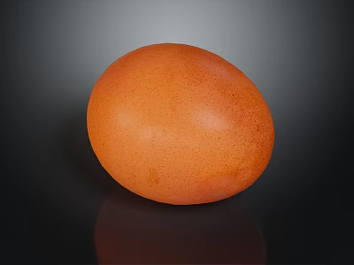 Fresh Brown Egg with Smooth Surface on Black Background and Reflective Shadow 3d model