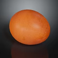 Fresh Brown Egg with Smooth Surface on Black Background and Reflective Shadow 3d model