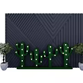 Black Chevron Patterned Wall With Green Cactus Light Decorations And Potted Plants