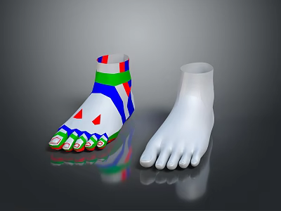 Colored Foot Model With Color Coded Sections And White Anatomical Reference Model 3d model
