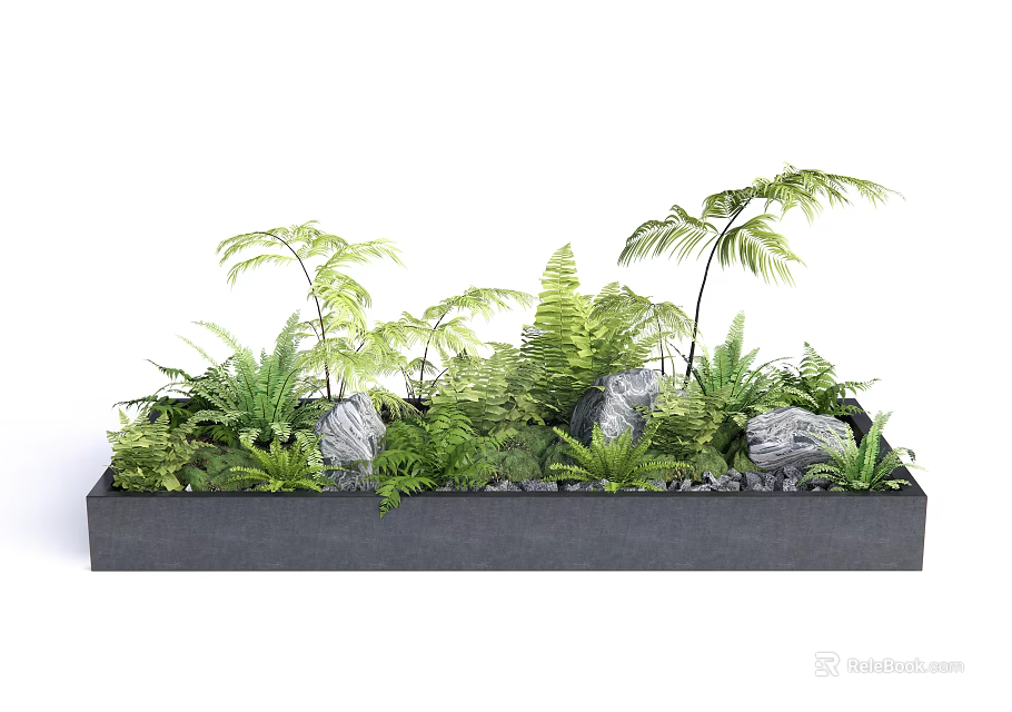 Lush Green Ferns and Plants in Modern Rectangular Planter Box with Stones 3d model 