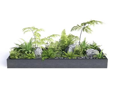 Lush Green Ferns and Plants in Modern Rectangular Planter Box with Stones 3d model