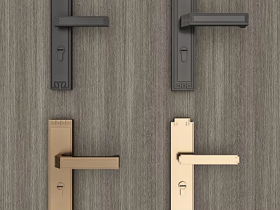 Modern Black And Gold Door Handles On Wooden Door Surface Design 3d model