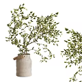 Concrete Vase With Wooden Handle Holding Fresh Green Leaves For Home Decor
