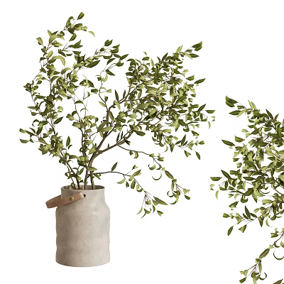 Concrete Vase With Wooden Handle Holding Fresh Green Leaves For Home Decor 3d model