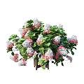 Potted Bonsai Plant with Pink And White Flowers And Lush Green Leaves On Wooden Stand