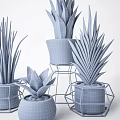 Various Long Spiky Leaf Potted Bonsai Plants With Geometric Metal Stands
