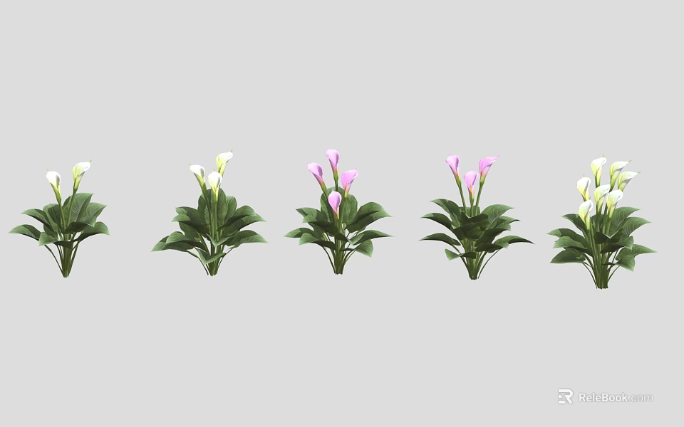 Potted Indoor Plants With White And Pink Flowers And Green Leaves Arranged In A Row 3d model 