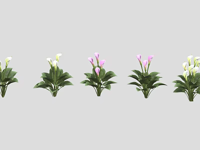 Potted Indoor Plants With White And Pink Flowers And Green Leaves Arranged In A Row 3d model