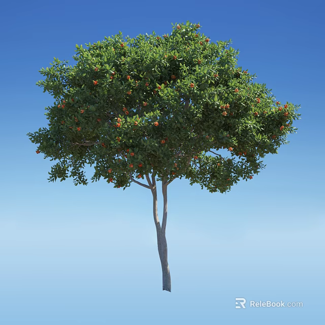 Tall Arbor Tree With Lush Green Foliage And Red Fruits Under Blue Sky 3d model 