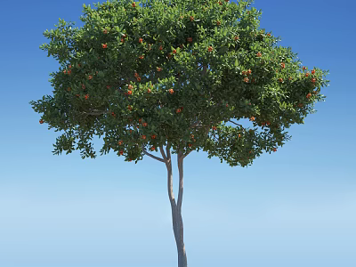 Tall Arbor Tree With Lush Green Foliage And Red Fruits Under Blue Sky 3d model