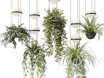 Trailing Green Hanging Basket Plants With Lush Foliage And Hanging Pendant Lights 3d model
