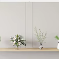 Minimalist Vases with Floral Arrangements on Wooden Shelf Featuring Green Foliage White Blooms and Light Wall