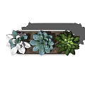 Various Succulent Plants in Rectangular White Planter with Wooden Base for Indoor Decor