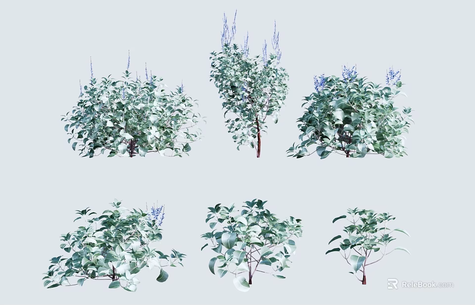 Collection of Various Green Plants Featuring Different Leaf Shapes Heights and Purple Flowers 3d model 