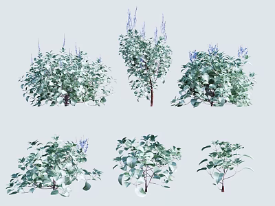 Collection of Various Green Plants Featuring Different Leaf Shapes Heights and Purple Flowers 3d model