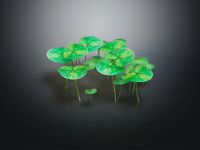 Natural Round Green Spotted Leaves With Slender Stems On Dark Background 3d model
