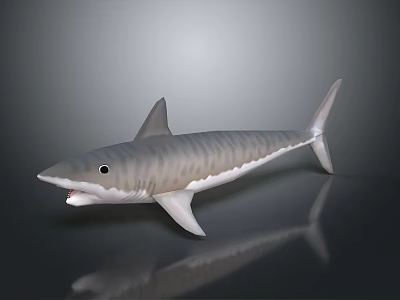 Lifelike Gray Striped Aquatic Animal Shark In Swimming Pose With Open Mouth And Sharp Teeth 3d model