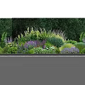Lush Garden Shrubs With Diverse Plants Colorful Flowers Along Stone Pathway