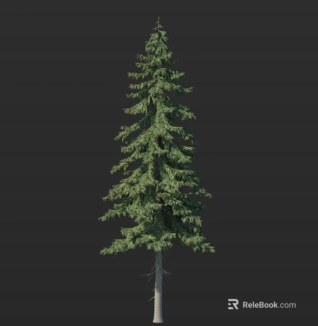 Tall Evergreen Tree with Lush Green Foliage and Full Spreading Branches 3d model 