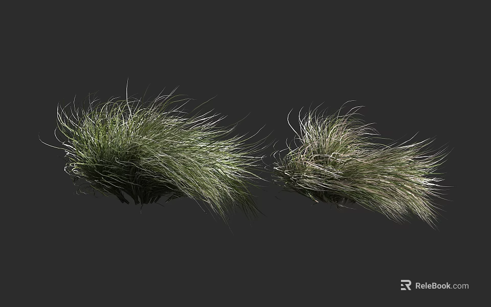 Two Clumps Of Green Grass With Wispy Leaves On Dark Backdrop 3d model 