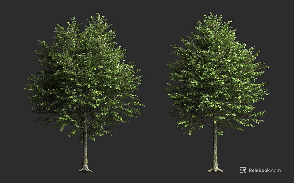 Two Lush Green Leafy Trees With Dense Foliage And Brown Trunks 3d model 