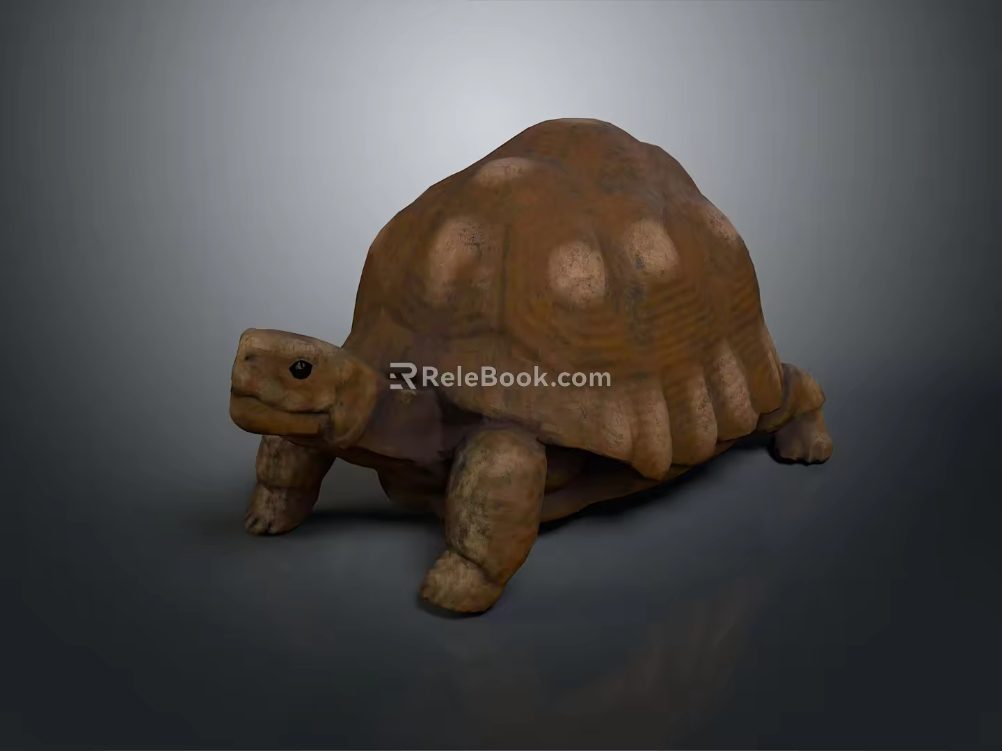 Turtle Cartoon Turtle Snapping Turtle Chickbill Turtle Reptile Cold Blooded Animal Reptile Class 3d model