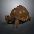 Turtle Cartoon Turtle Snapping Turtle Chickbill Turtle Reptile Cold Blooded Animal Reptile Class 3d model