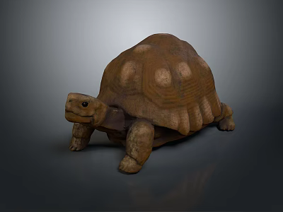 Brown Reptile Tortoise With Rounded Shell Featuring White Spots Standing On Smooth Dark Surface 3d model