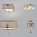 Modern Decorative Ceiling Lights With Various Designs And Different Shapes For Home Interior 3d model