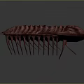 Purple Red Striped Trilobite 3D Model with Spiked Edges and Textured Surface on Gray Background