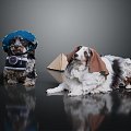 Modern Dog Pet Dog Pet Dog 3d model