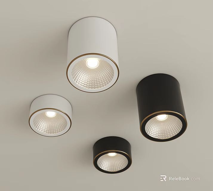Contemporary Sleek Design Downlights and Spotlights in White and Black with Warm Light on Ceiling 3d model 