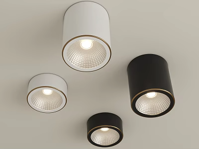 Contemporary Sleek Design Downlights and Spotlights in White and Black with Warm Light on Ceiling 3d model