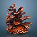 Close Up View Of Brown Pine Cone With Detailed Scales On Blue Background