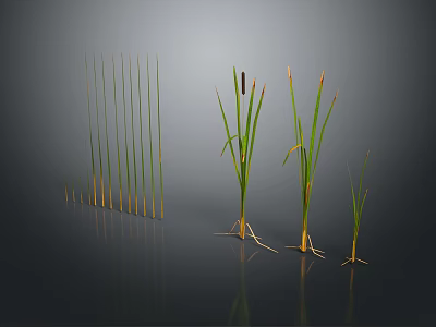 Field Mouse Exploring Tall Grasses And Brown Seed Plants On Dark Surface 3d model