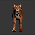 Orange Striped Cat With Green Eyes White Paws White Tail Tip On Black Reflective Background