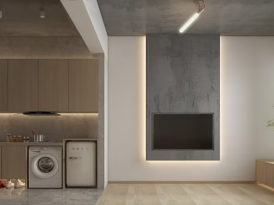 Modern Industrial Apartment With Laundry Area And Concrete TV Wall 3d model