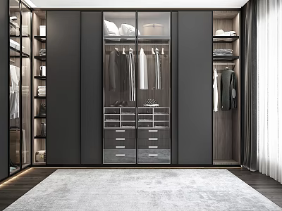 Modern Walk in Closet Interior With Black Cabinets Glass Doors Hanging Clothes Drawers And Rug 3d model