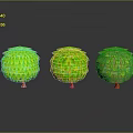 Three Green Spherical Plants With Scaly Leaves Brown Trunks And Reflections On Gray Gradient Background