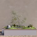 Rectangular Garden Feature With Ferns Stone Moss And Pebbles Against Light Beige Wall 3d model