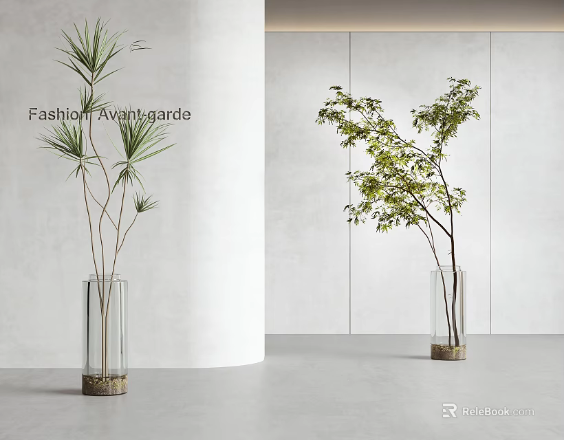 Modern Clear Glass Vases Featuring Tall Leafy Green Plants For Interior Styling 3d model 