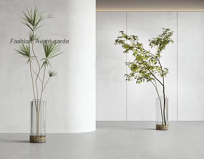 Modern Clear Glass Vases Featuring Tall Leafy Green Plants For Interior Styling 3d model