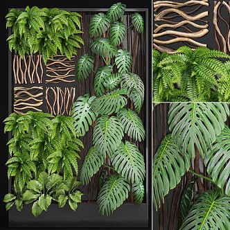 Plant Wall Branch 3d model