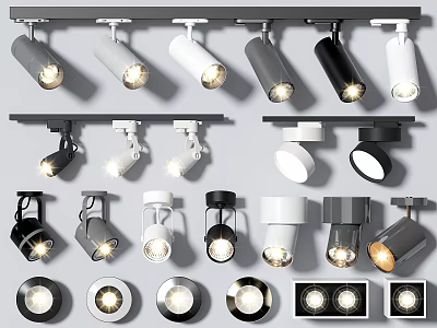 Modern Design Downlights and Spotlights in White Black Gray with Track and Recessed Mounting 3d model
